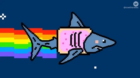 shark